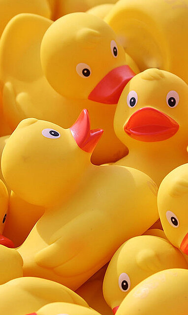 Kumialan ja kumitekniikan koulutukset