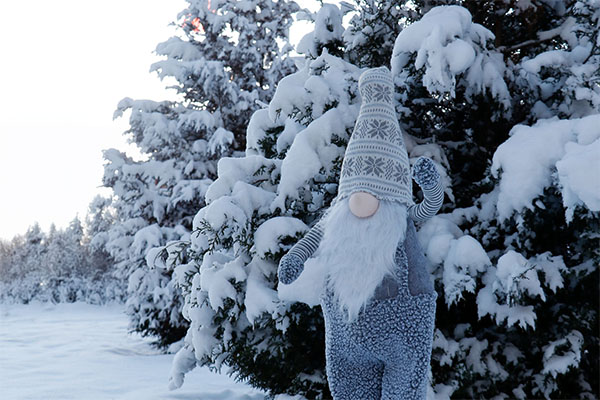 Tottu-ukko ja Tampereen Aikuiskoulutuskeskus TAKK toivottavat Hyvää joulua!