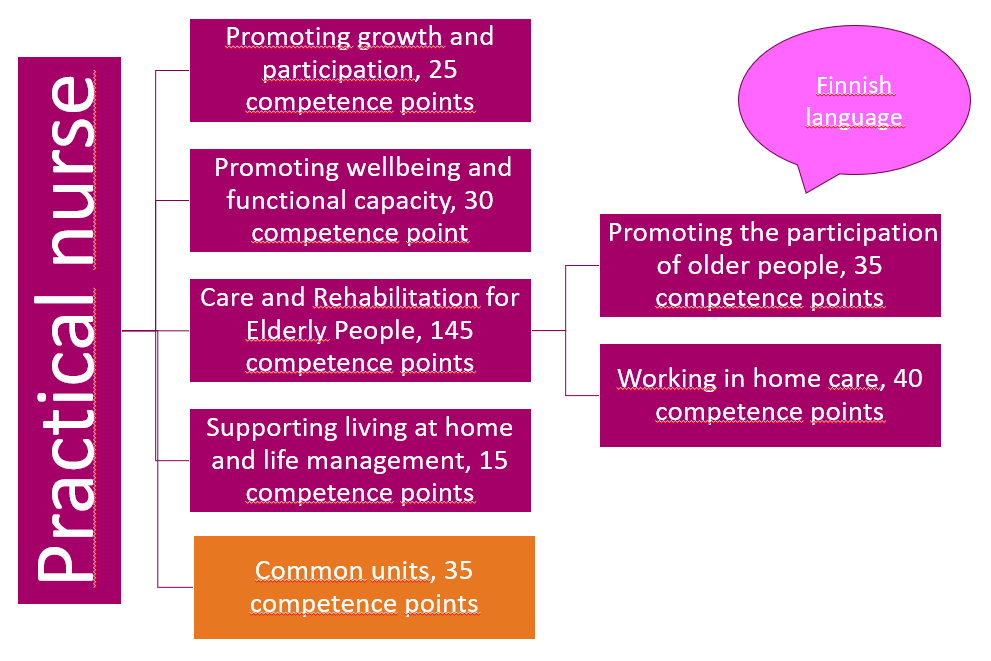 Composition of the Practical nurse qualification, 180 competence points
